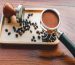 Factors influencing coffee prices
