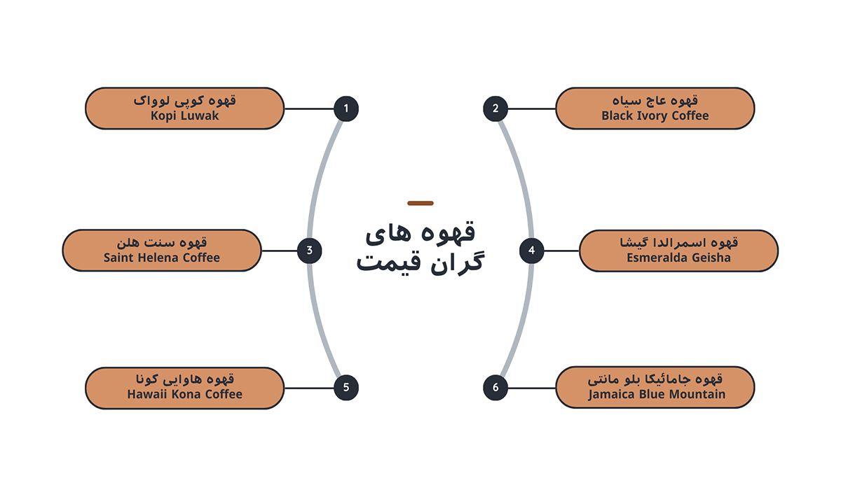 معرفی قهوه های گران قیمت