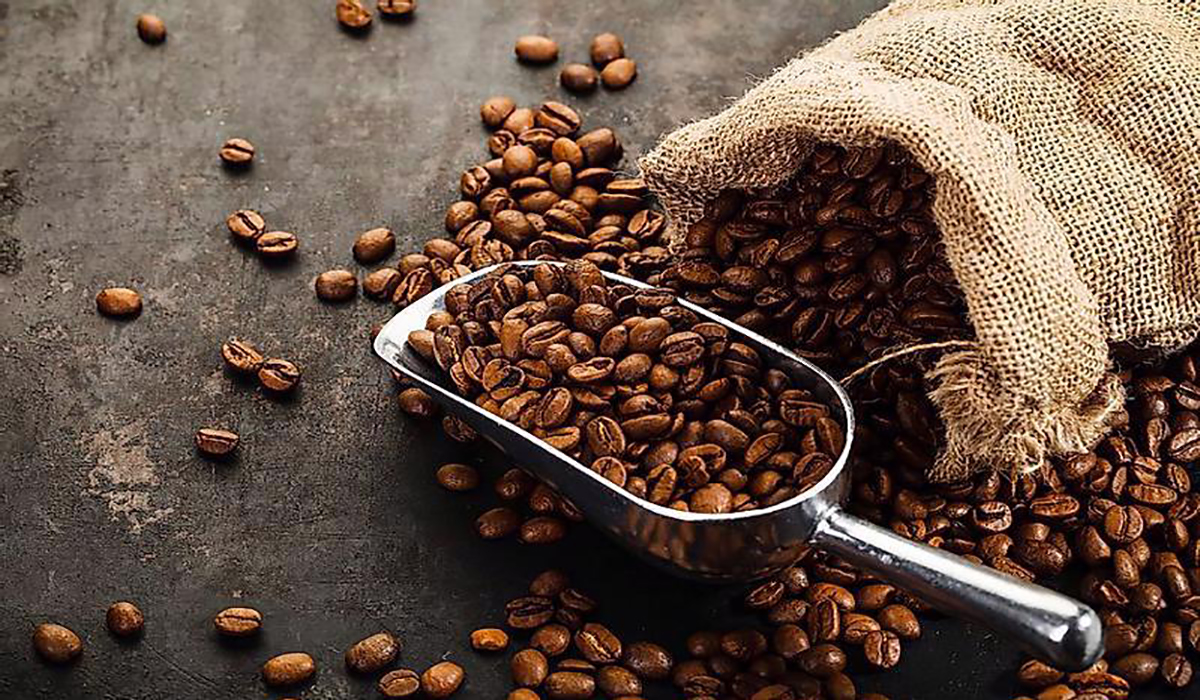 خرید قهوه عمده در تهران