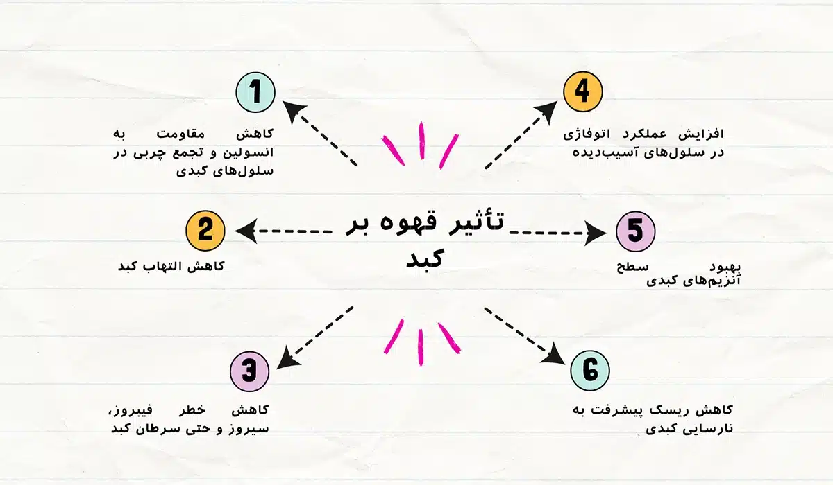 تاثیر قهوه بر کبد چرب گرید 2 و 3