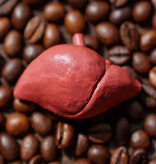 قهوه برای کبد چرب گرید 3 و گرید 2