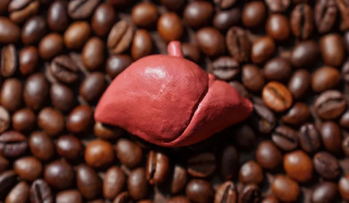 قهوه برای کبد چرب گرید 3 و گرید 2