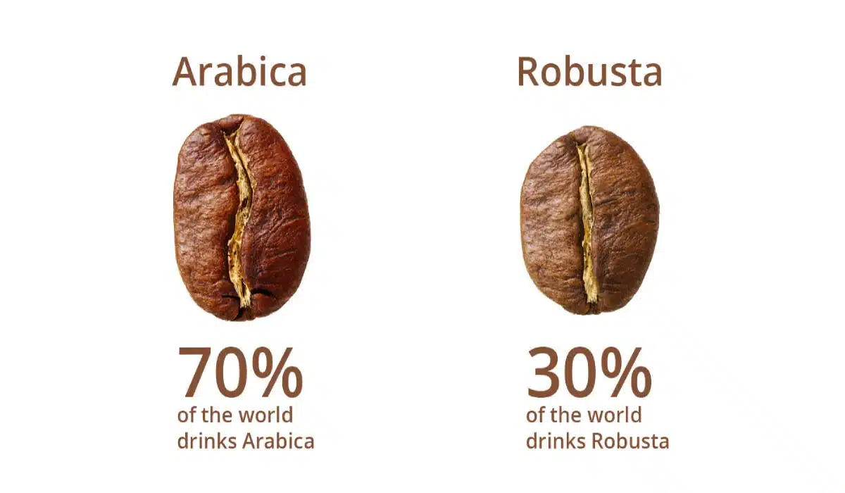قهوه عربیکا چیست