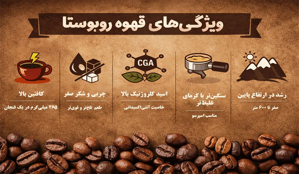 مشخصات قهوه روبوستا