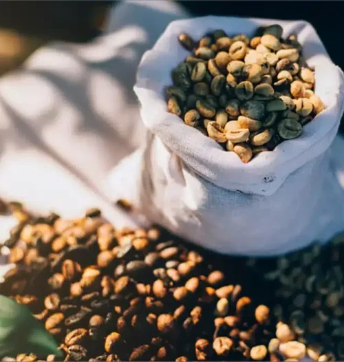 قهوه ۱۰۰ درصد روبوستا