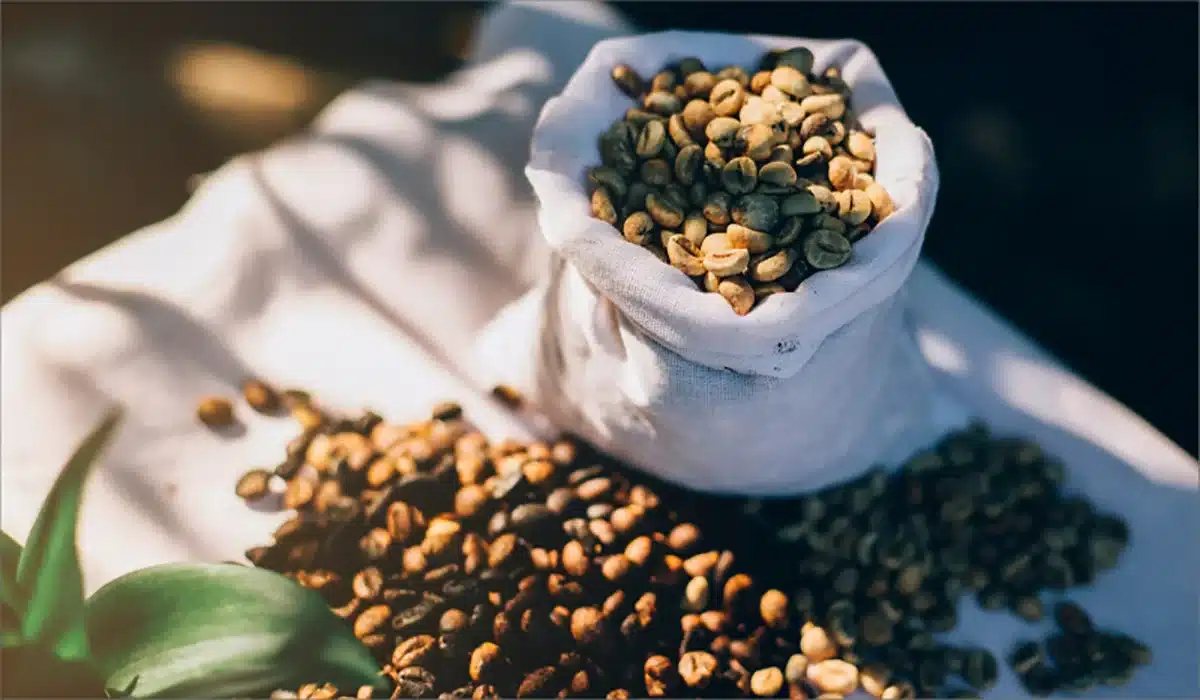 قهوه ۱۰۰ درصد روبوستا
