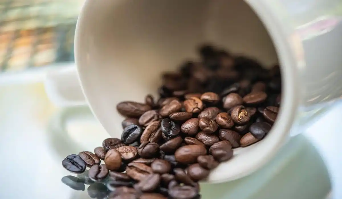قهوه مدیوم چیست؟