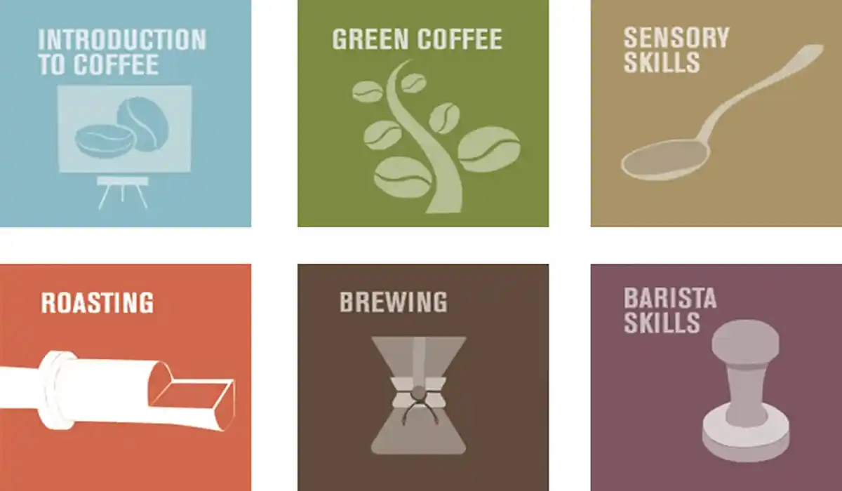 انجمن قهوه تخصصی